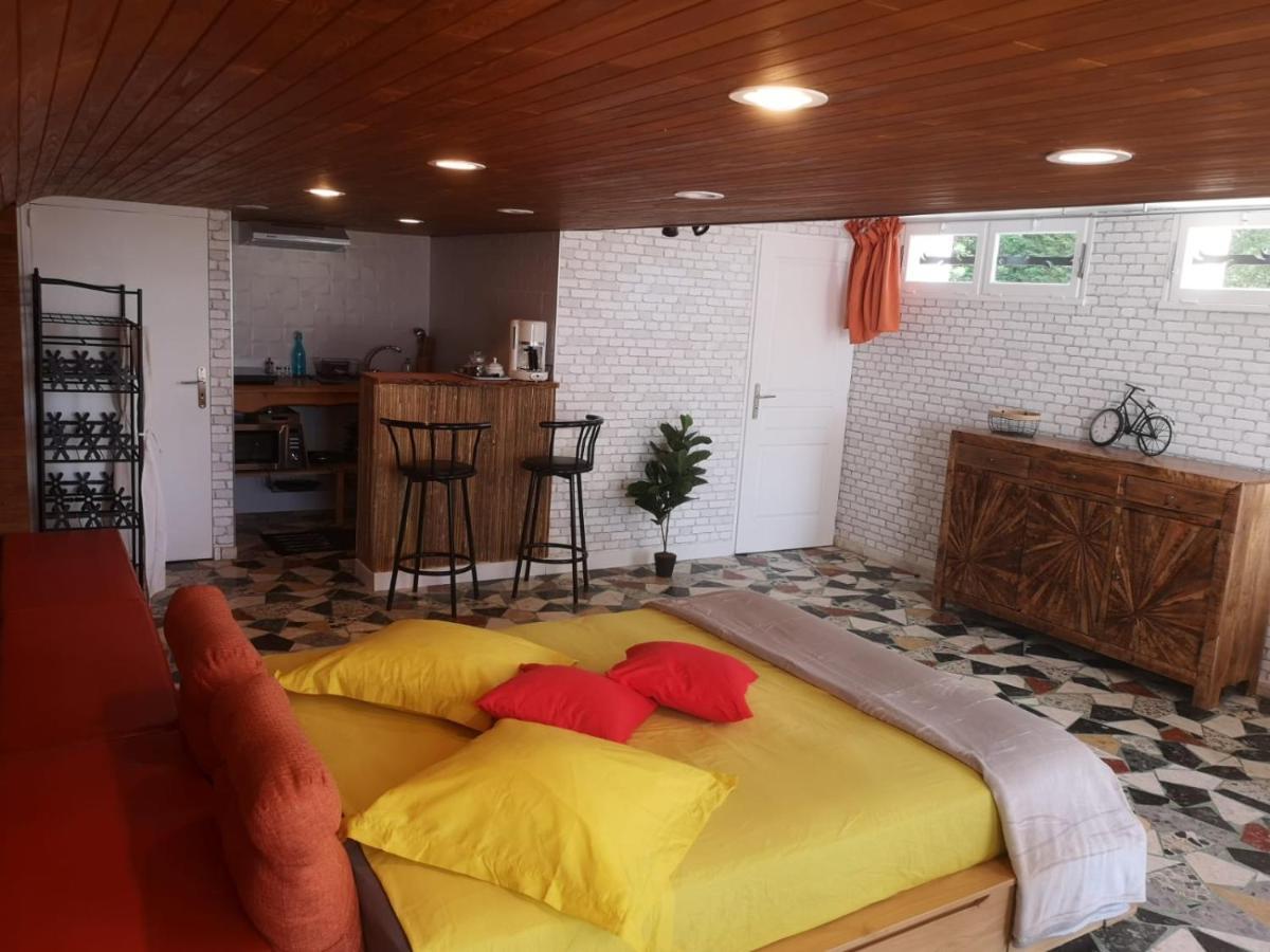 Bed and Breakfast Bellevue Chateauneuf-de-Galaure Экстерьер фото