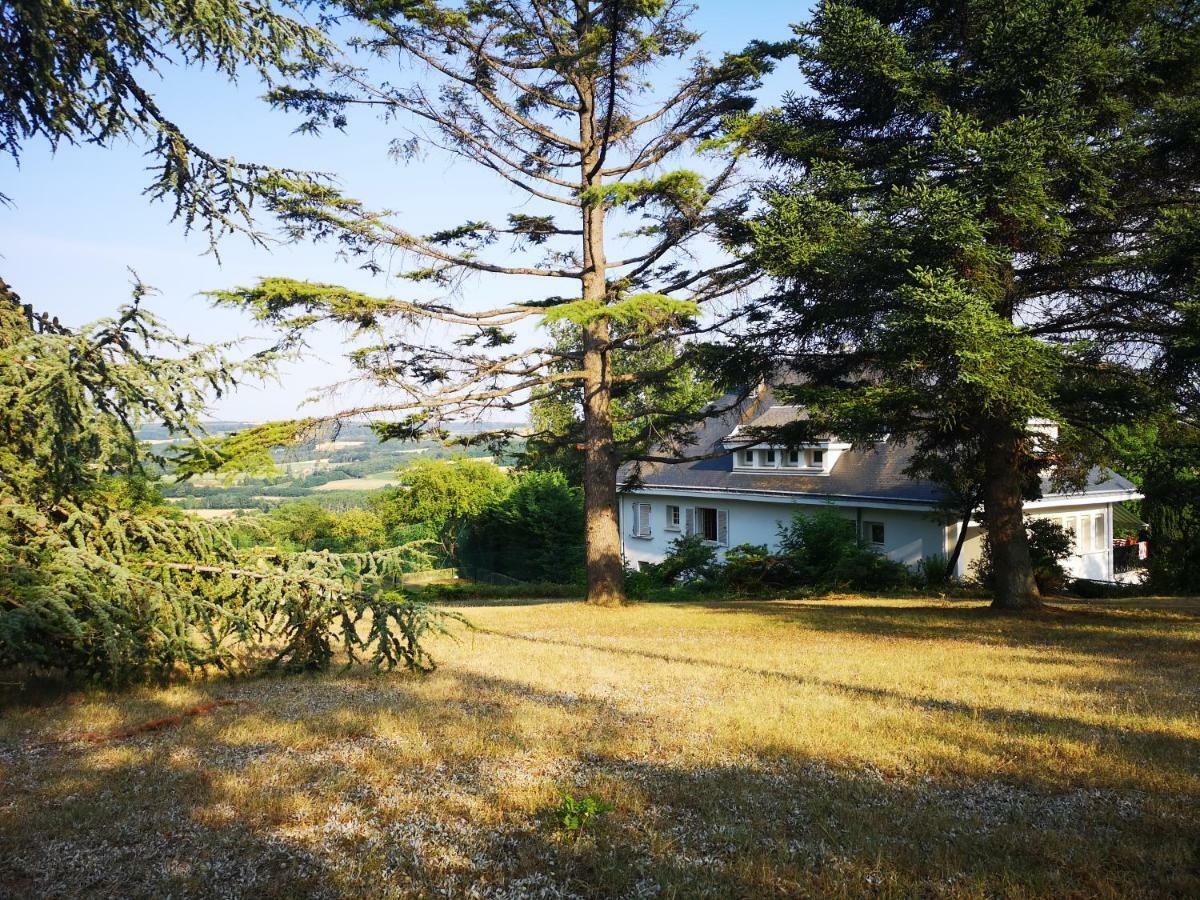 Bed and Breakfast Bellevue Chateauneuf-de-Galaure Экстерьер фото